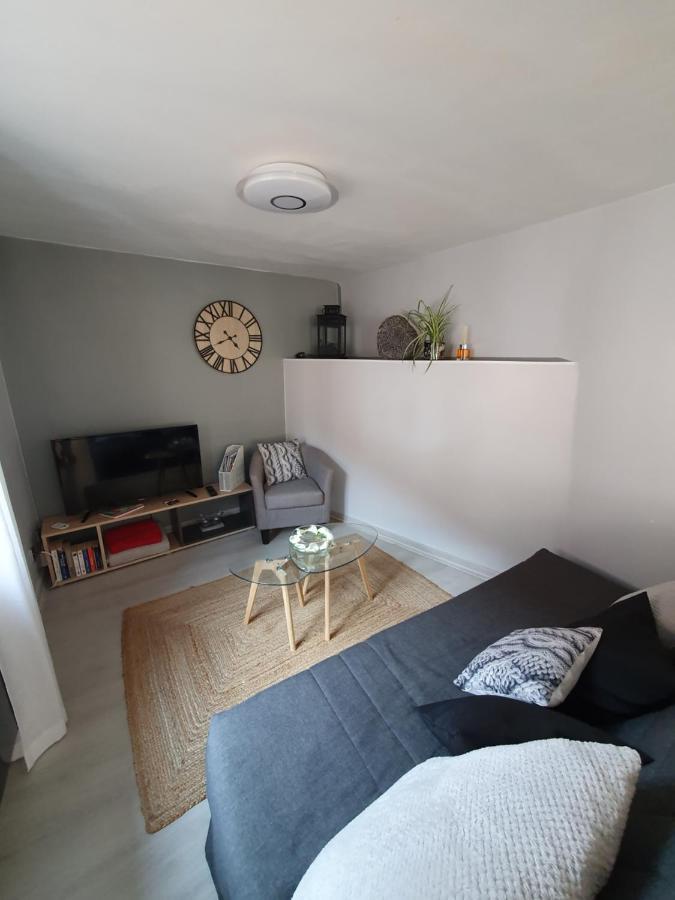Apartament Le Petit Fleck Haguenau Zewnętrze zdjęcie